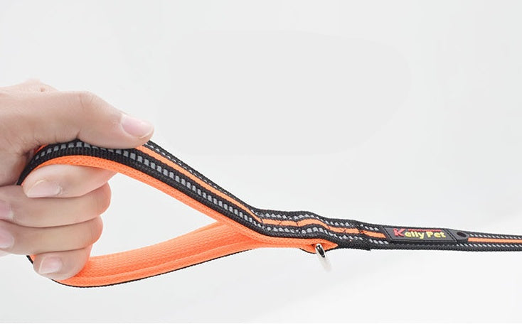 Pet Nylon Retractable Assisted Leash