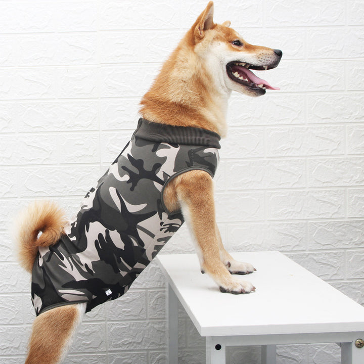 Fashion Multi Color Pet Clothing Outfit