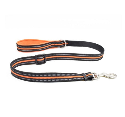 Pet Nylon Retractable Assisted Leash