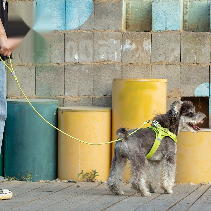 Pet Adjustable Colorful Sliding Leash Control Lead