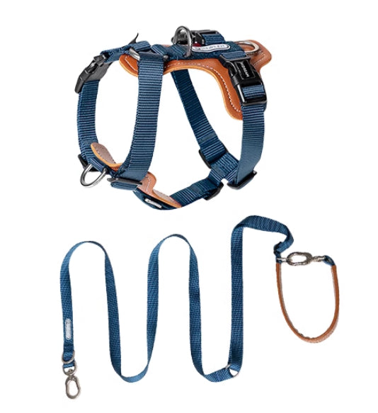 Pet Multifunctional Chest Strap Rope Leash