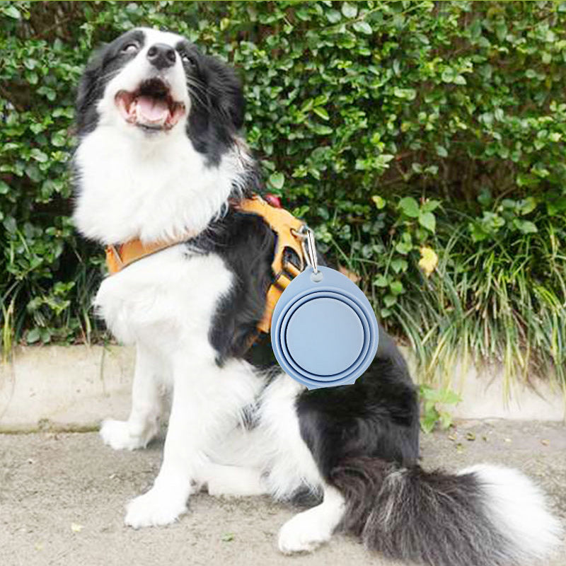 Foldable Silicone Pet Bowl for Outdoor Use
