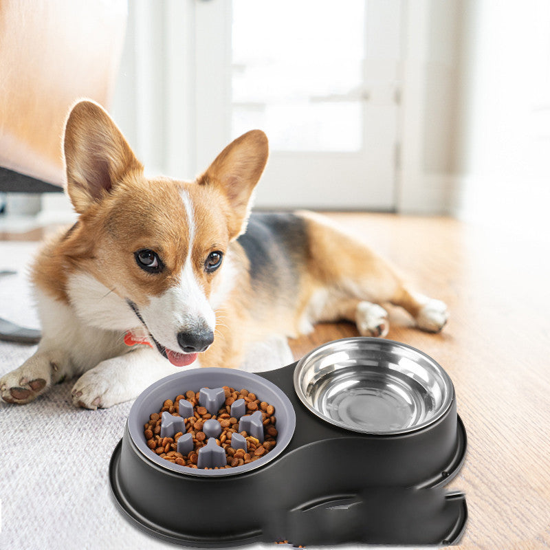 Removable Slow Feeding Pet Bowl