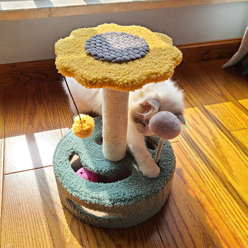 Pet Scratching Board Claw Grinding Interactive Toy
