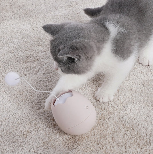 Funny Interactive Pet Play Artifact Toy