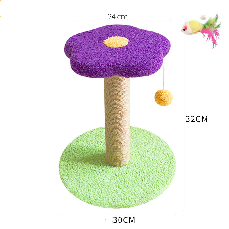 Interactive Pet Claw Grinding Teasing Toy