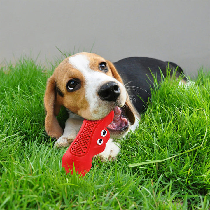 Pet Rugby Chew Resistant Rubber Teething Toy