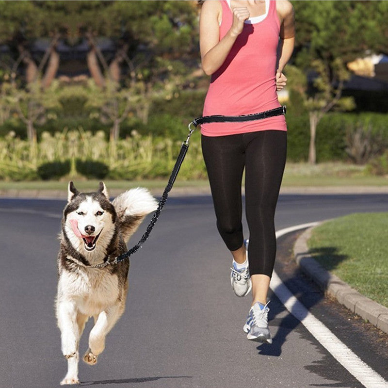 Pet Adjustable Jogging Harness Leash Collar