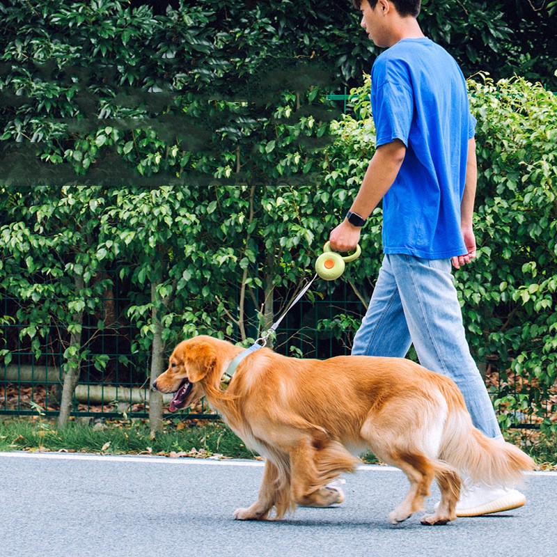 Pet Retractable Reflective Rope Leash