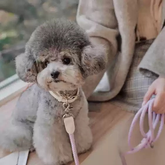 Pet Leather Collar Handheld Rope Leash Control Lead