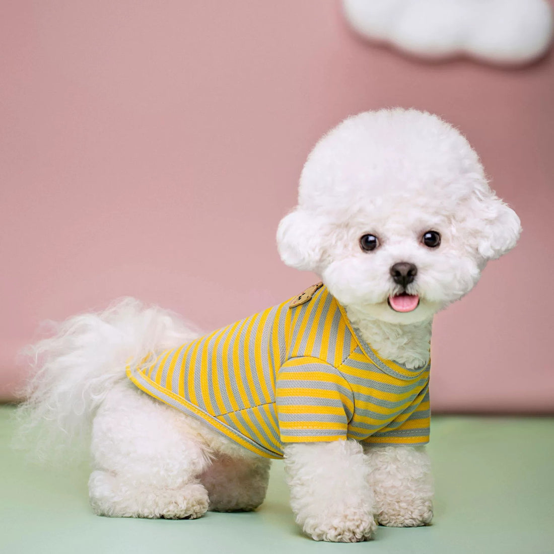 Breathable Summer Pet T-Shirt