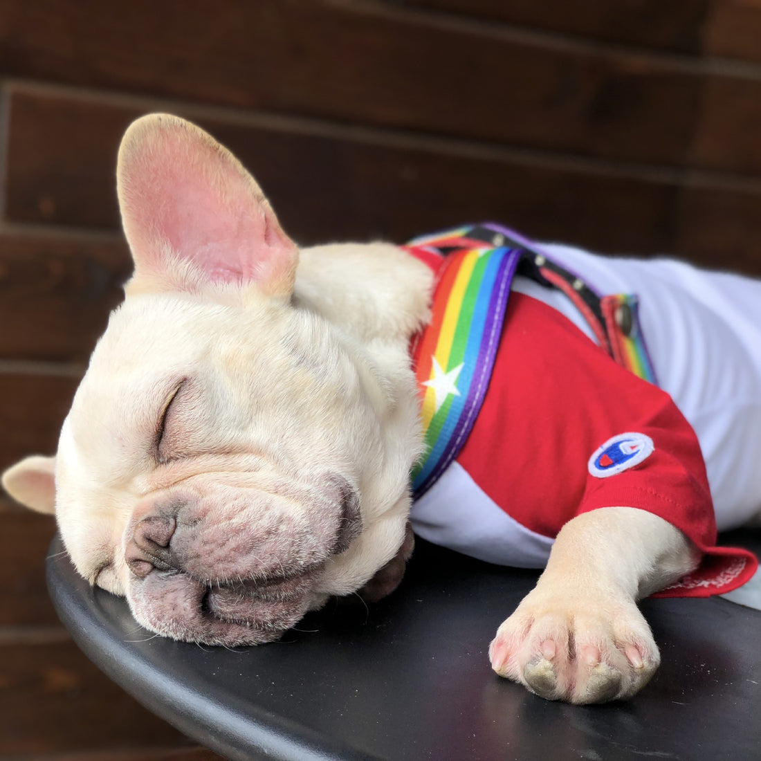 Pet Rainbow Chain Leash Cool Durable Control Lead