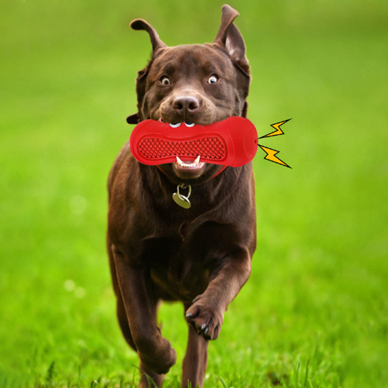 Pet Rugby Chew Resistant Rubber Teething Toy
