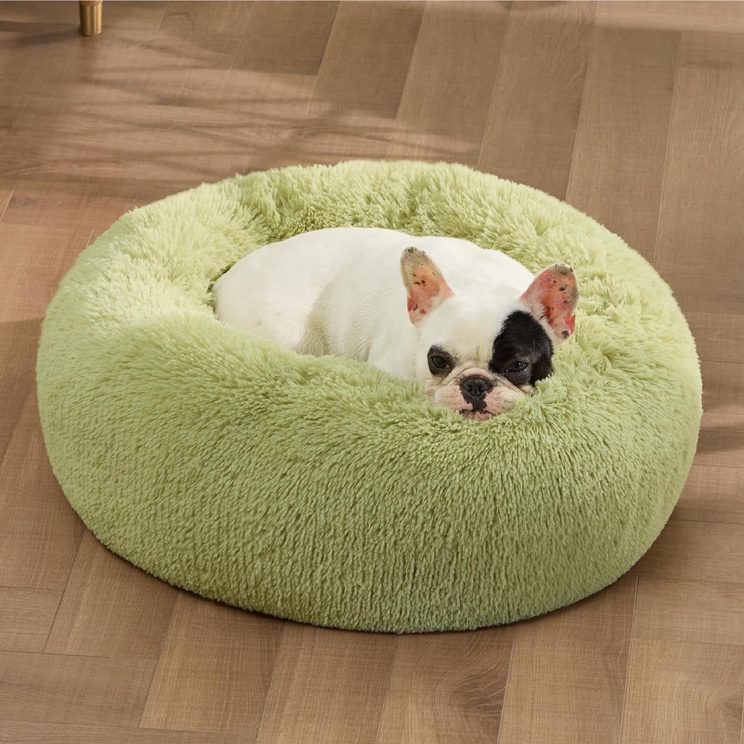 Indoor Solid Color Non Slip Fluffy Plush Pet Bed