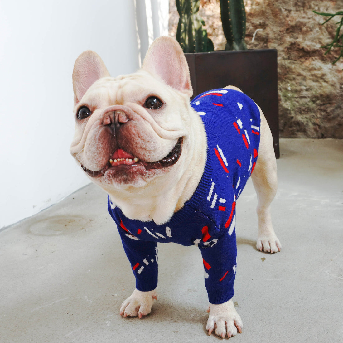Warm Knit Pet Sweater