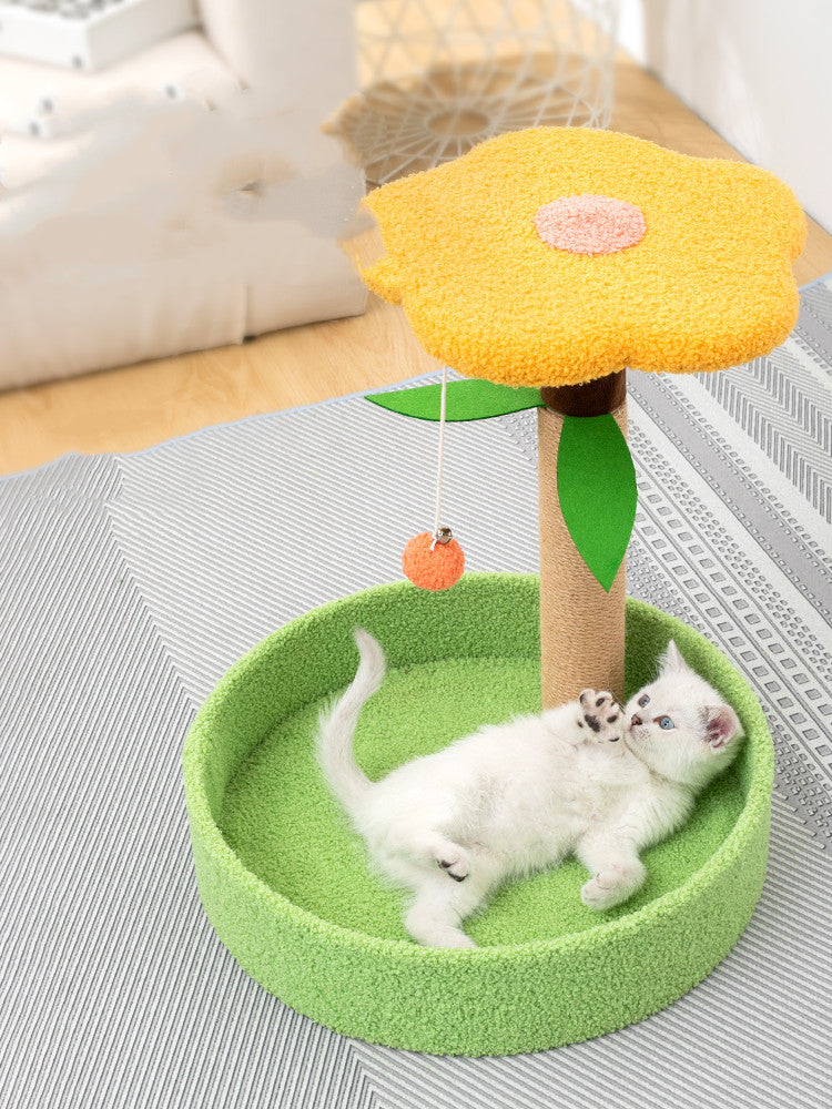 Interactive Pet Claw Grinding Teasing Toy