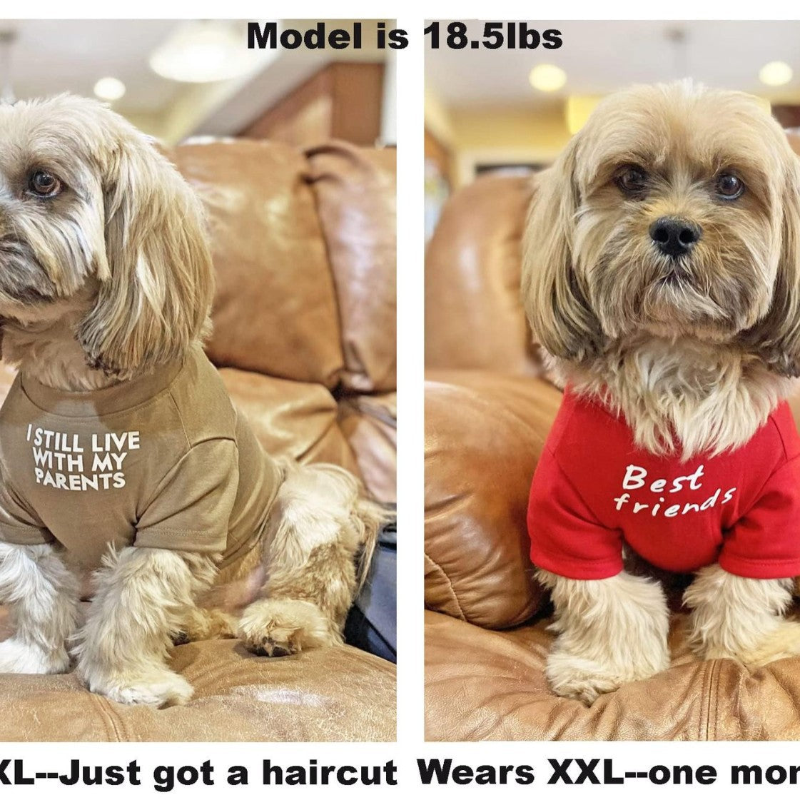Pet Round Neck T Shirt Clothing Apparel
