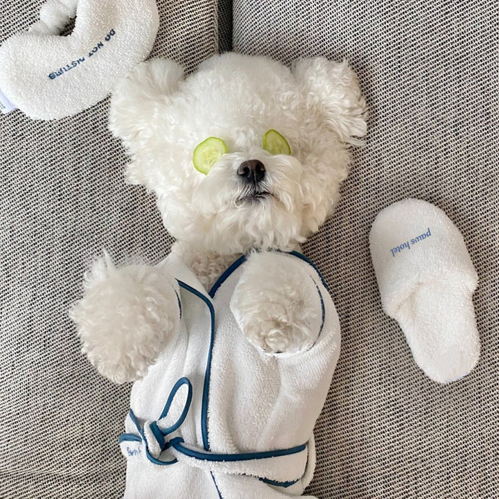 Pet Bath Towel Bathrobe Photography Prop Set