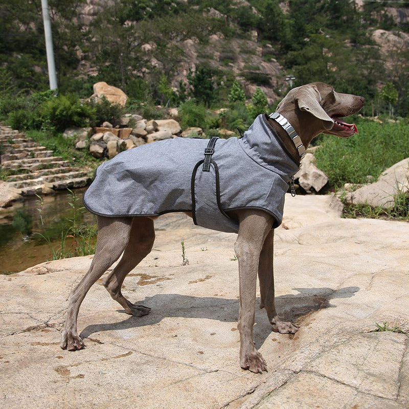 Shell Winter Outdoor Jacket