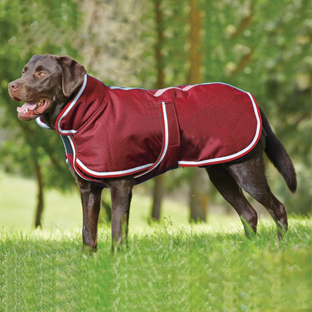 Autumn Winter Warm Waterproof Pet Jacket Coat