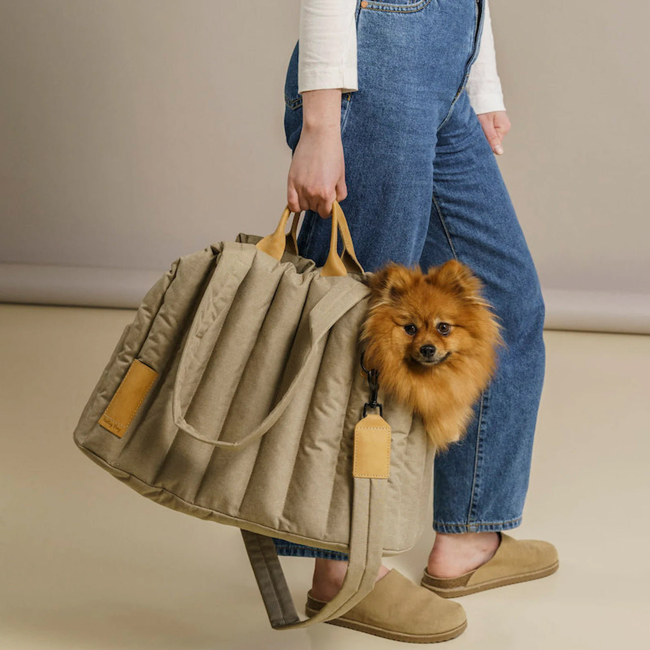Pet Carrier Lightweight Waterproof Portable Fashion Handbag