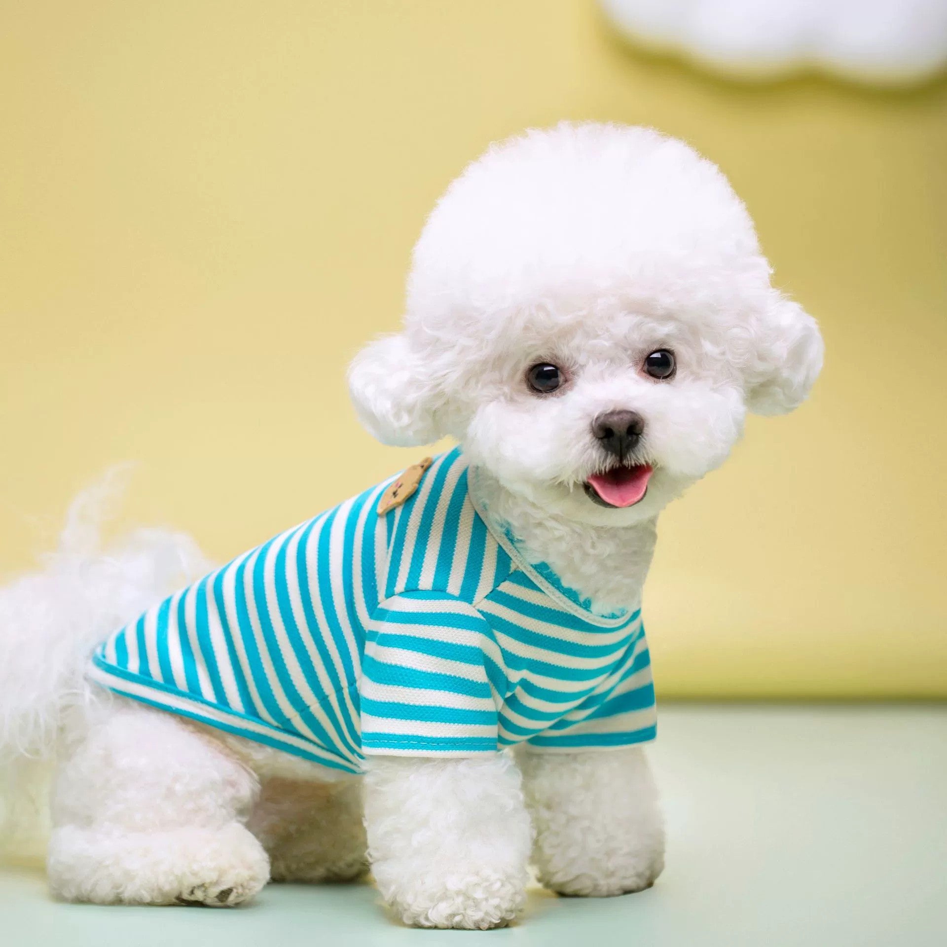 Breathable Summer Pet T-Shirt