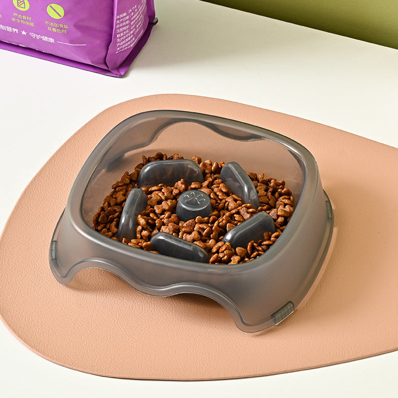 Pet Anti Choking Slow Feeding Water Bowl