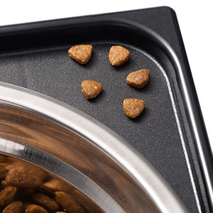 Pet Adjustable Feeding Bowl Neck Protection Stand