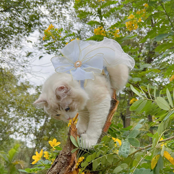 Pet Multi Layer Yarn Universal Leash