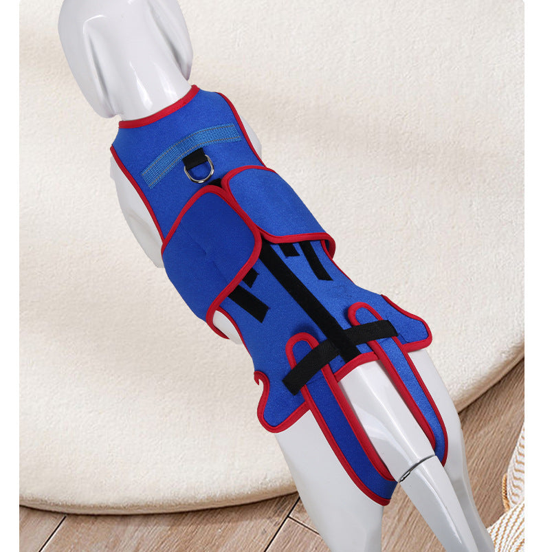 Pet Spine Support Jacket for Posture Correction
