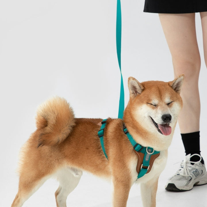 Pet Multifunctional Chest Strap Rope Leash