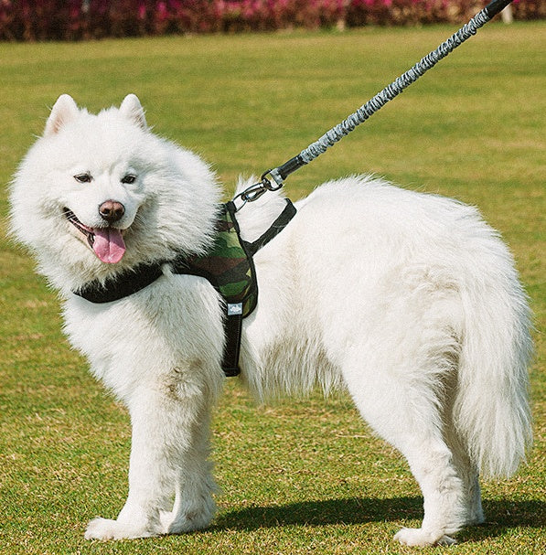 Pet Chest Harness Leash Control Safety Lead