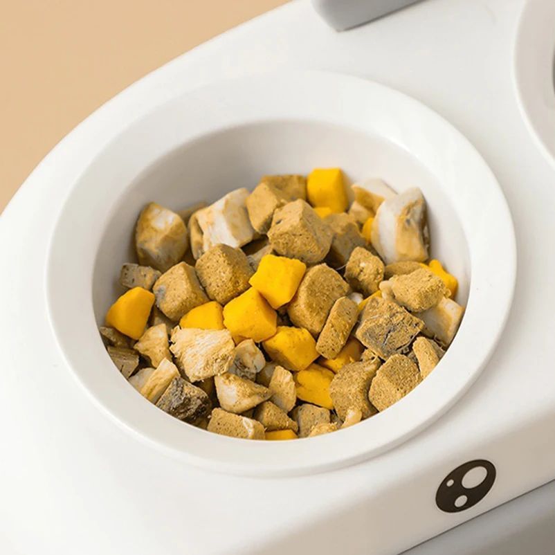 Pet Duck Design Double Bowl Feeding Tray
