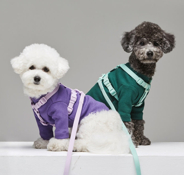 Pet Macaron Style Windproof Leash