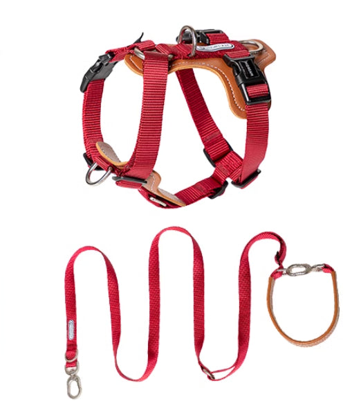 Pet Multifunctional Chest Strap Rope Leash