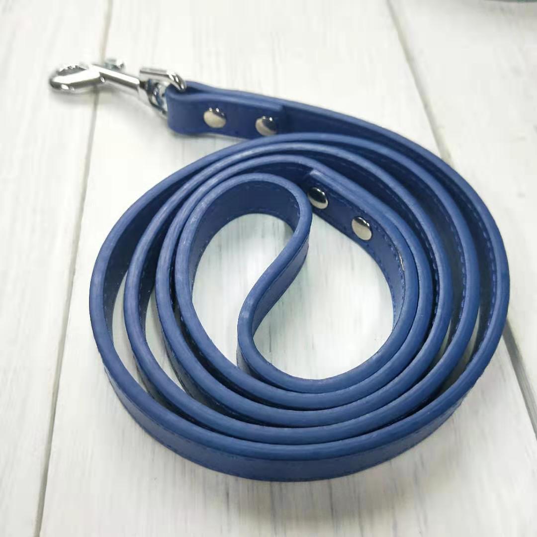 Pet Leash Collar Set