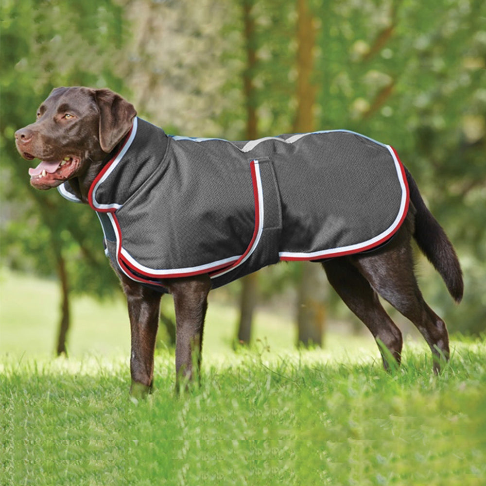 Autumn Winter Warm Waterproof Pet Jacket Coat