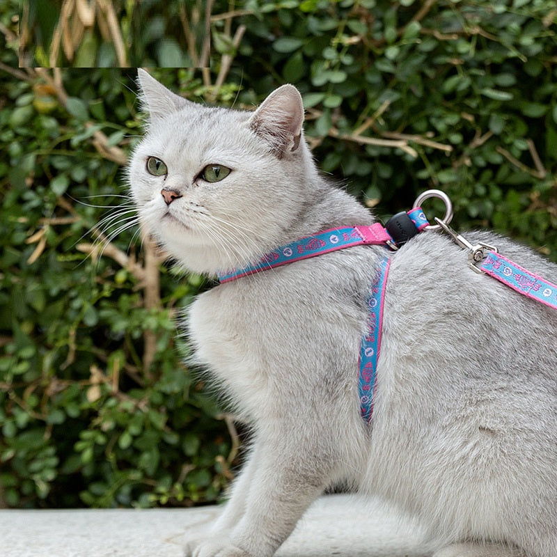 Pet Bell Chest Strap Vest Leash Set