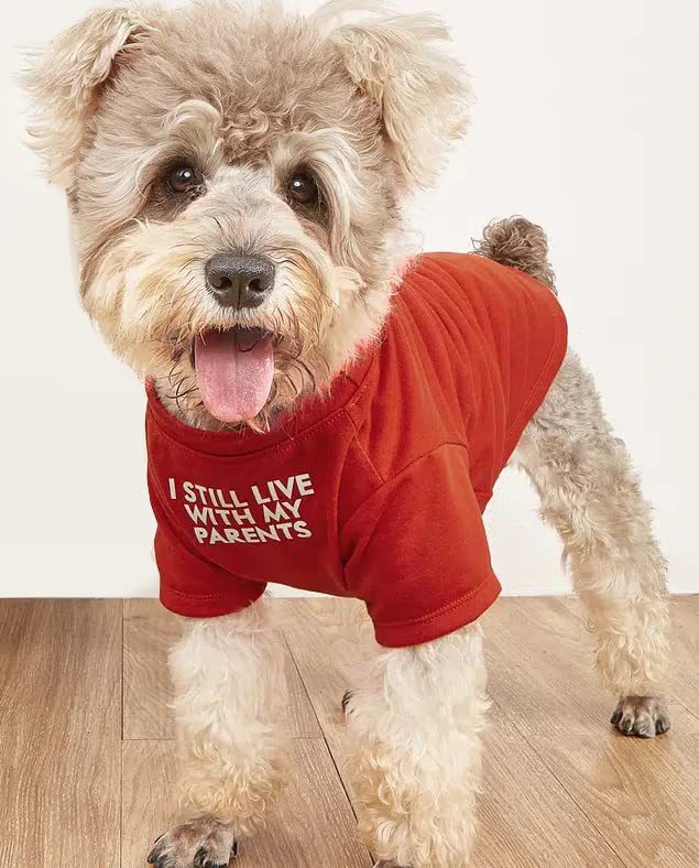 Pet Round Neck T Shirt Clothing Apparel