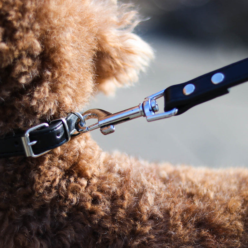 Pet Leash Collar Set