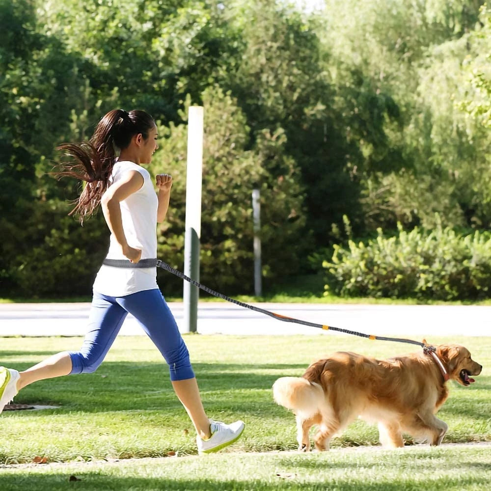 Pet Adjustable Jogging Harness Leash Collar