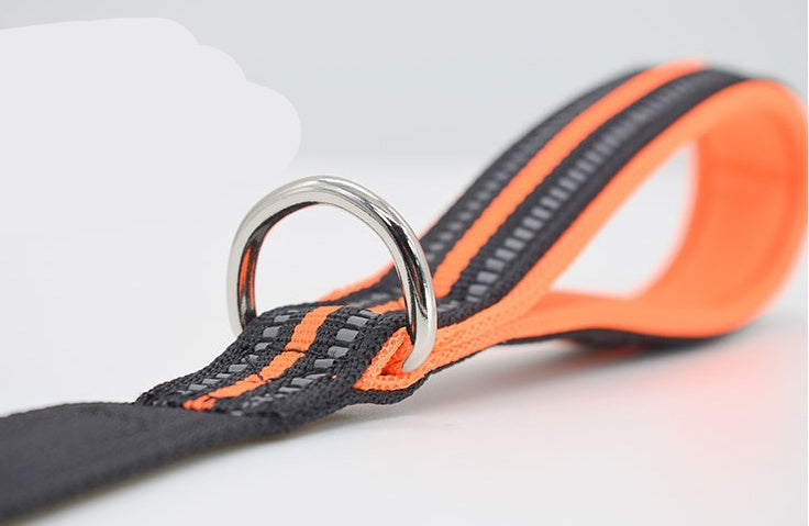 Pet Nylon Retractable Assisted Leash