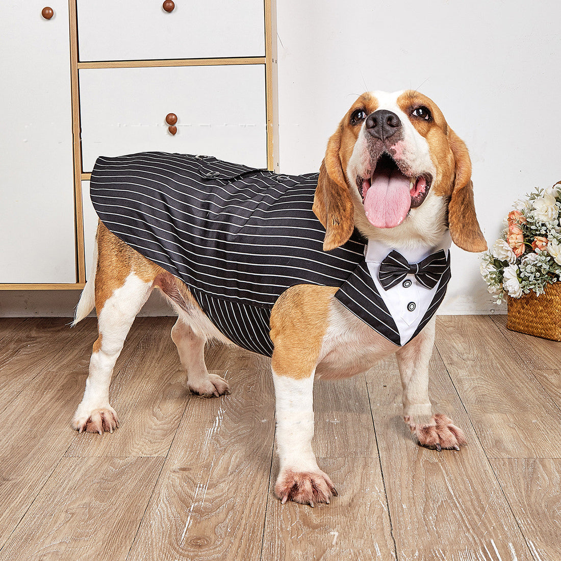 Pet Swallowtail Wedding Suit Formal Jacket Outfit