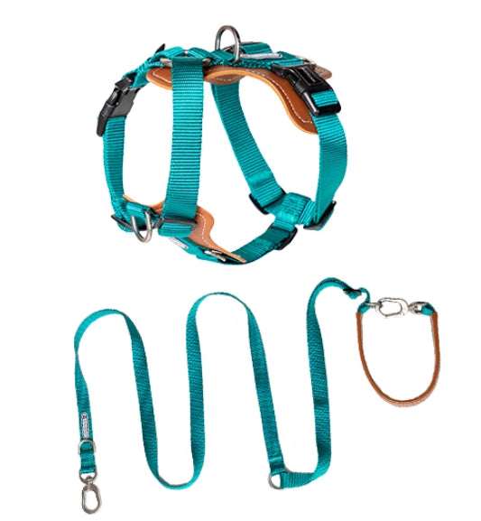 Pet Multifunctional Chest Strap Rope Leash