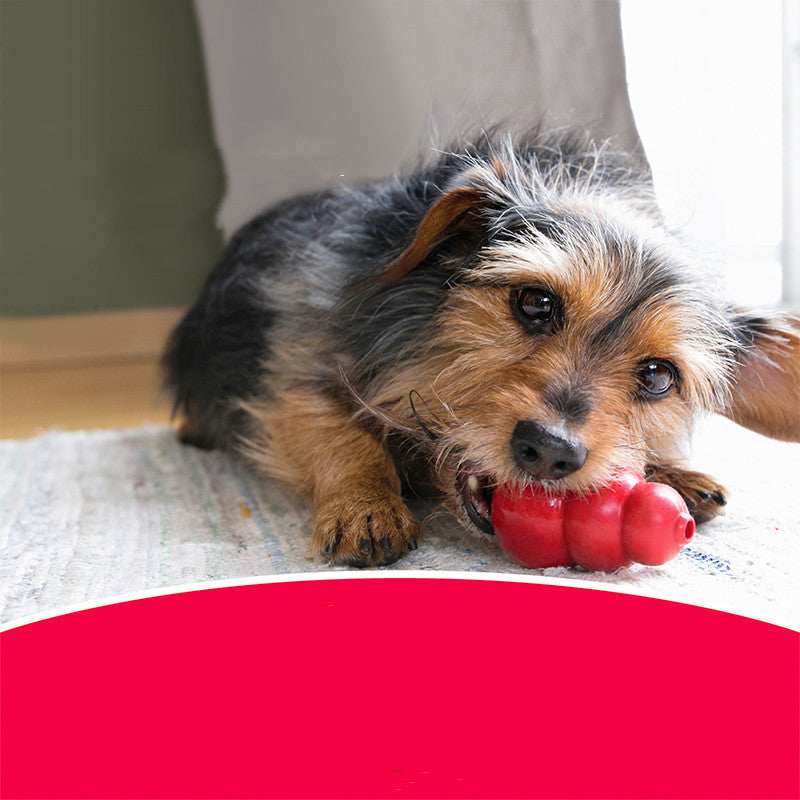 Bite Resistant Pet Rubber Grinding Chew Toy