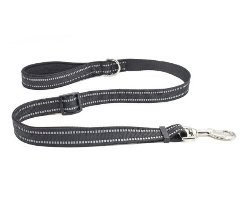 Pet Nylon Retractable Assisted Leash