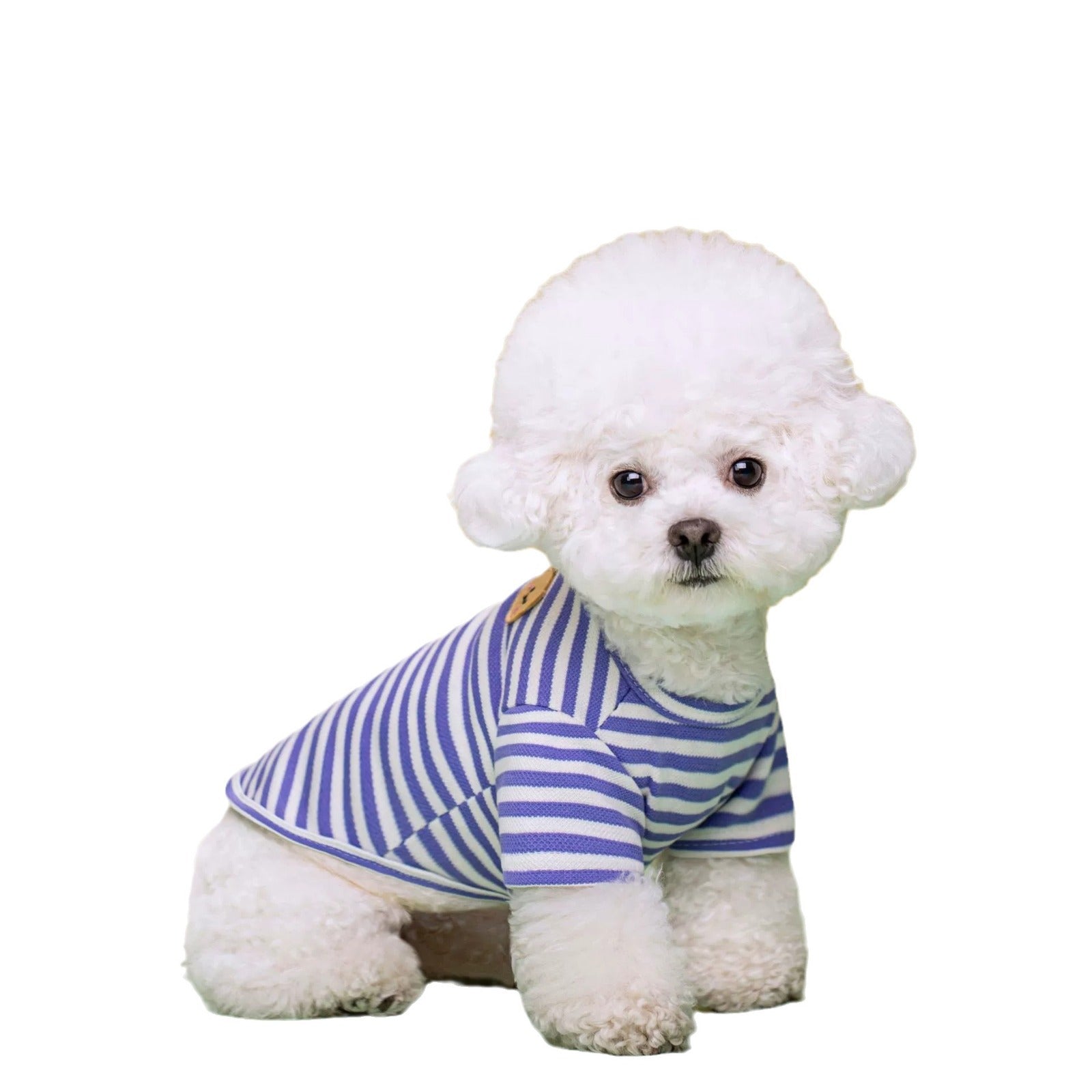 Breathable Summer Pet T-Shirt