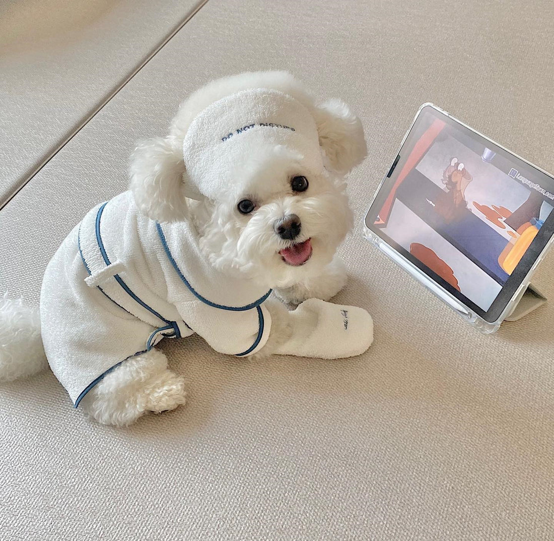 Pet Bath Towel Bathrobe Photography Prop Set