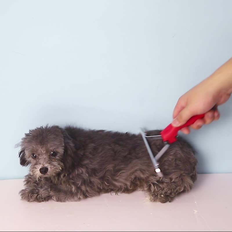 Pet Extra-Large Rake Grooming Comb Deshedding Brush Tool