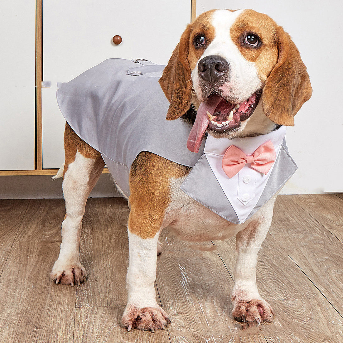 Pet Swallowtail Wedding Suit Formal Jacket Outfit